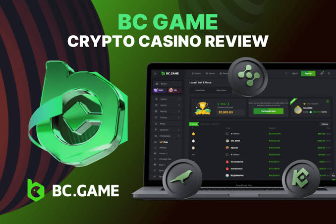 Understanding the BC.Game Mexico Login Process Understanding the BC.Game Mexico Login Process