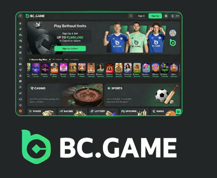 Understanding the BC.Game Mexico Login Process Understanding the BC.Game Mexico Login Process